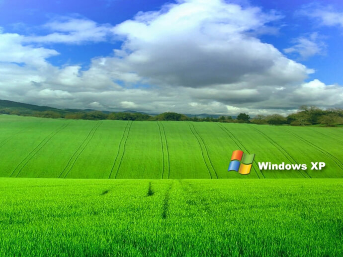 Windows XP    
 Windows XP   
  8