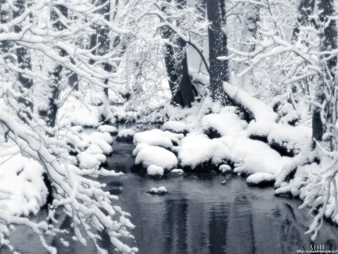 природа обои зима на рабочий стол фото №5