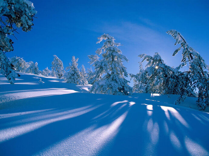 природа обои зима на рабочий стол фото №8
